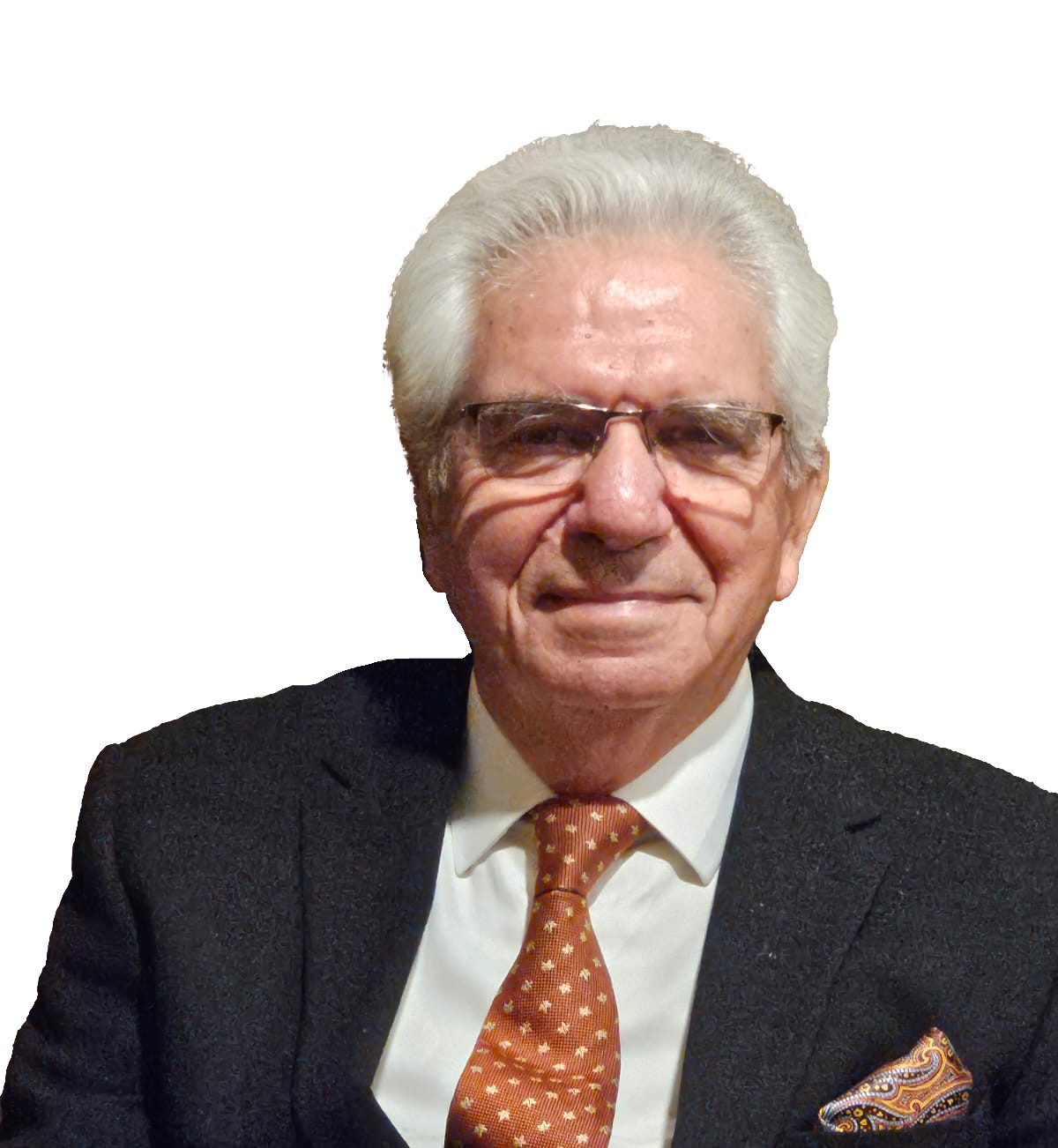 Portrait of Lt. Gen Syed Sabahat Hussain Retd